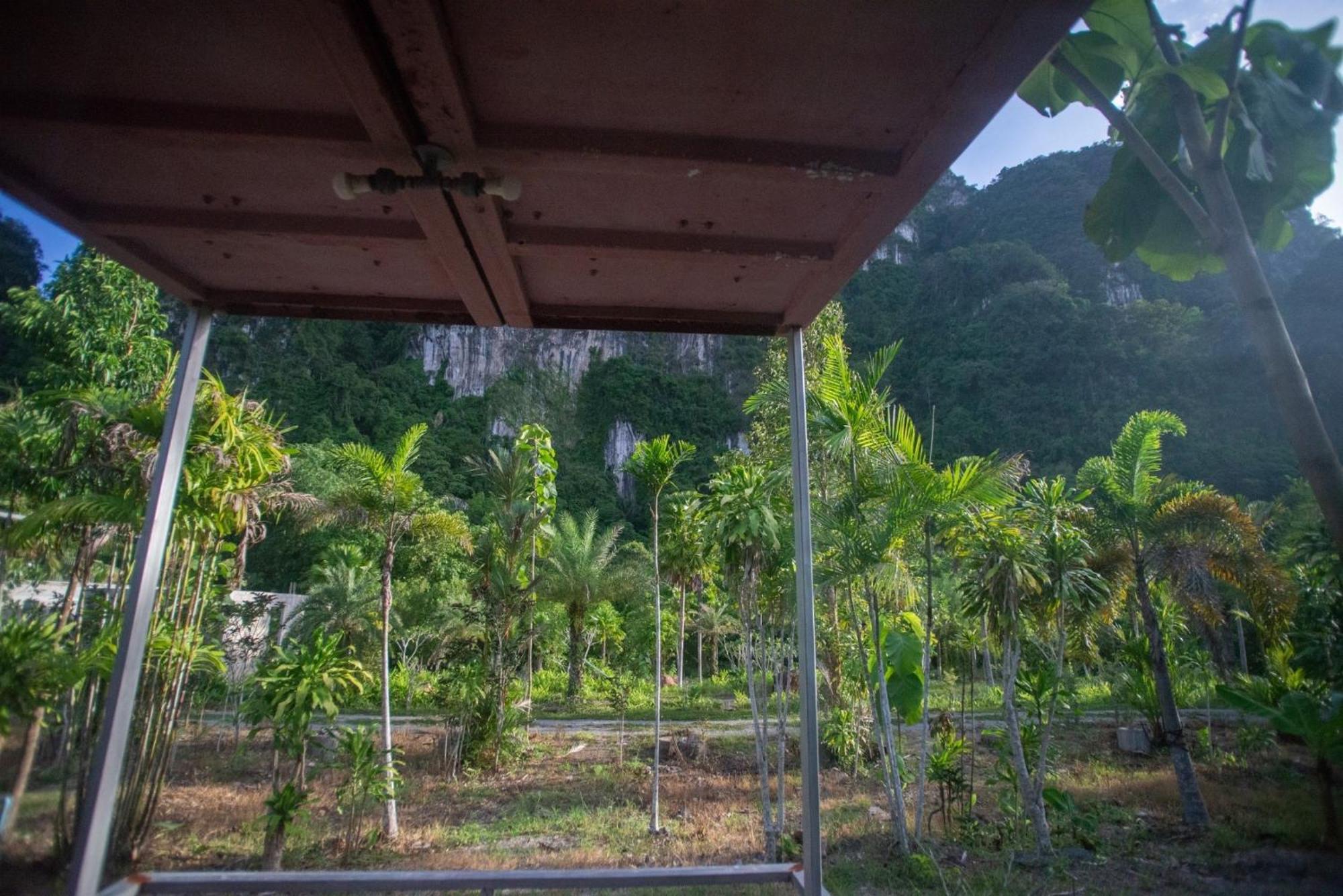 The Camper Lodge Khao Sok Ban Bang Bon Buitenkant foto